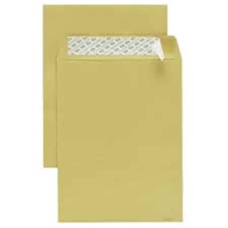 The Workstation Products  Redi-Strip Envelope- Plain- 28Lb- 6in.x9in.- Kraft TH840560